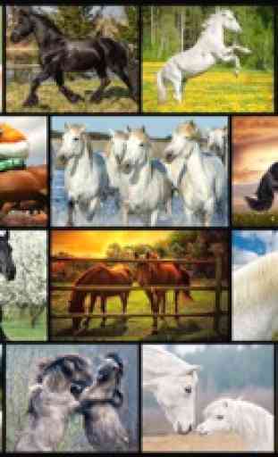 Poderosos Caballos - reales caballos de imagen los juegos de rompecabezas para los niños 1