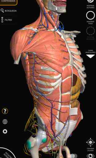 Anatomía - Atlas 3D 2