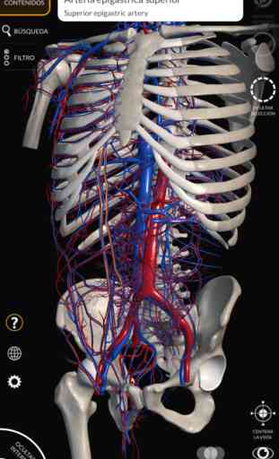 Anatomía - Atlas 3D 3