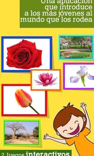 Flores y Estaciones Montessori 1