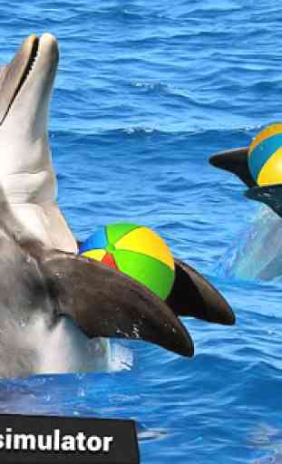 Agua parquet delfín espectáculo agua mundo delfín 3
