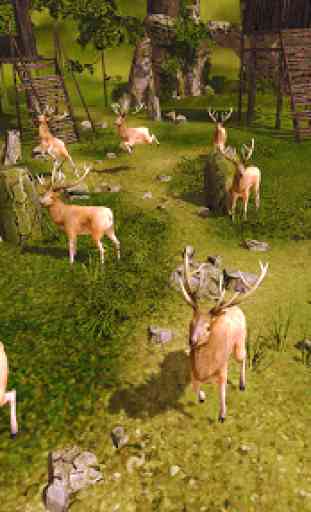 Animal Sniper Deer Hunting 2020 2