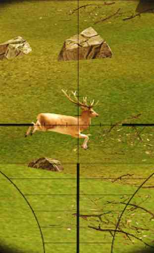 Animal Sniper Deer Hunting 2020 3