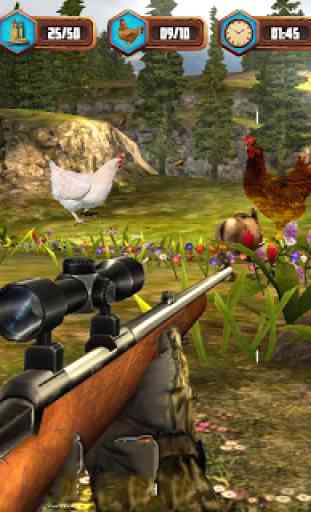 Bird Hunting Chicken Shooting Aim Wild Hen Hunt 2
