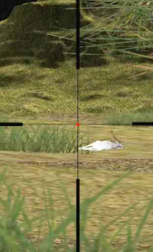Deer Hunting 2017 : Sniper hunt game 3