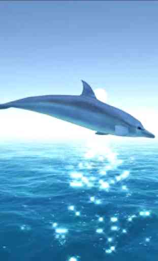 Dolphin juego 3D 1