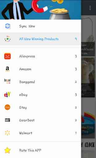 Find Winning Products For Dropshipping 1