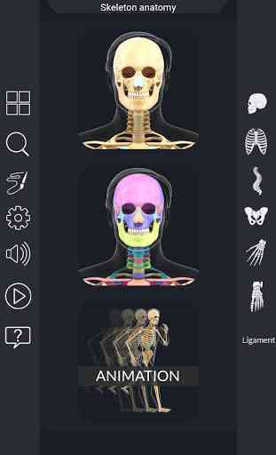 My Skeleton Anatomy 1