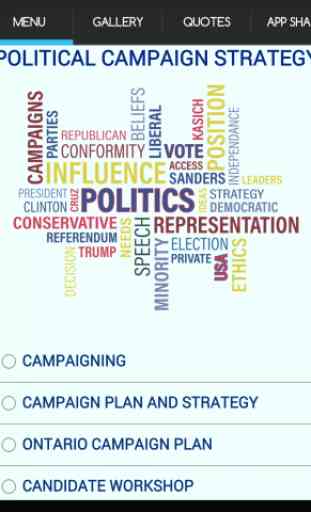 Political Campaign Strategy 2