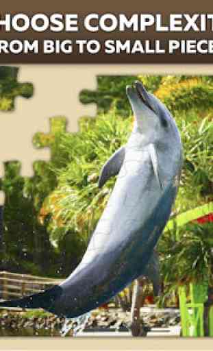 Rompecabezas de delfines 1