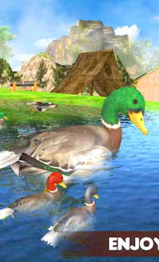 Simulador de la familia del pato 2