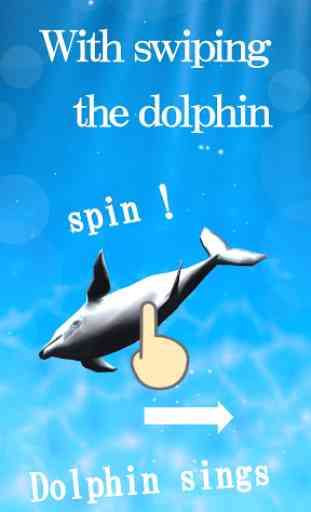 Tap Dolphin -3Dsimulation game- 3
