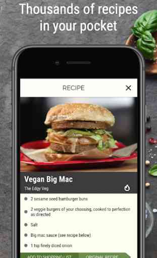 Vegan Recipe Browser 1