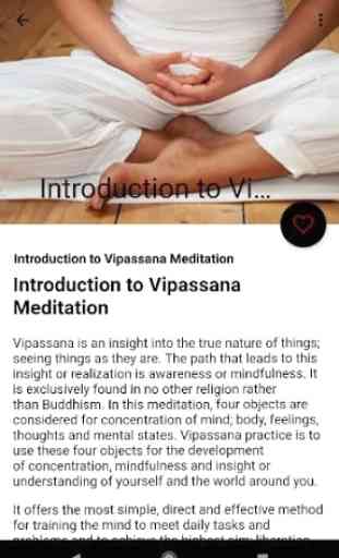 Vipassana Meditation, Techniques 3