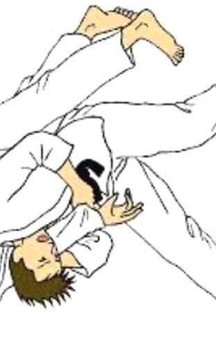aprender técnicas de judo 2
