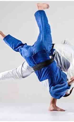 aprender técnicas de judo 4