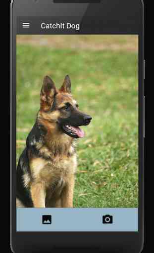 CatchIt Dog - Escáner de razas de perros foto 1