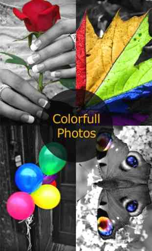 Color Light Photo Editor 3