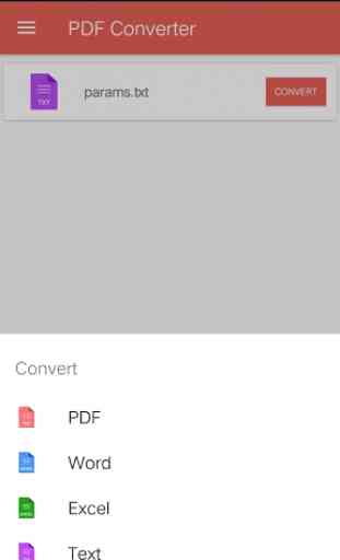 PDF Converter 1