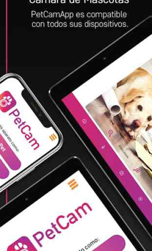 PetCam App - Monitor de Perro 1