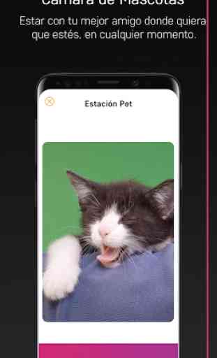 PetCam App - Monitor de Perro 3