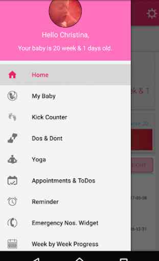 Pregnancy Friend App 2
