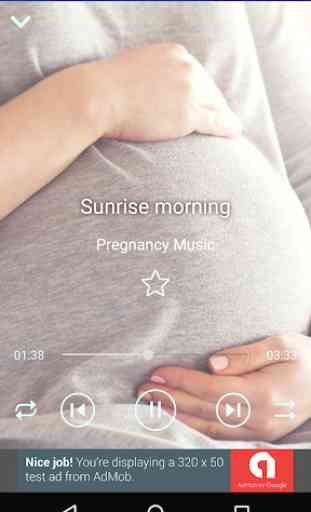 Pregnancy Music Collection 200 3