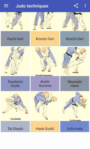 Técnicas de Judo 2