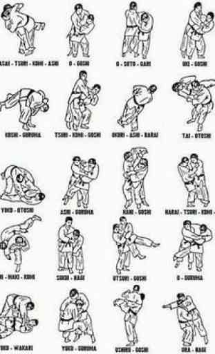 técnicas de lucha de judo 3