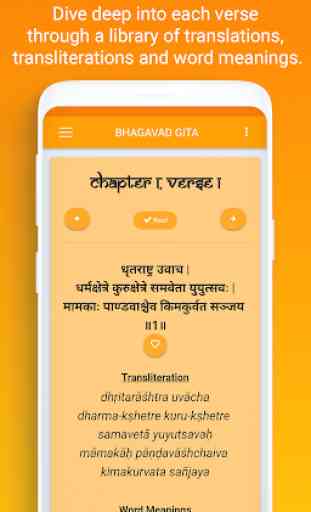 Bhagavad Gita in Hindi & English 2