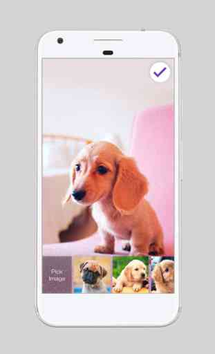 Cute Dogs Labrador HD AppLock Security 3
