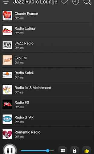 France Radio Stations Online - French FM AM Music 4