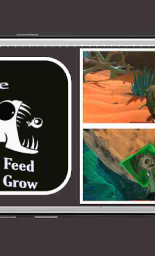 Guide For Fish Feed And Grow App 3