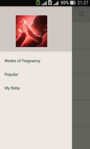 Pregnancy week by week. Expecting baby. Diary 1