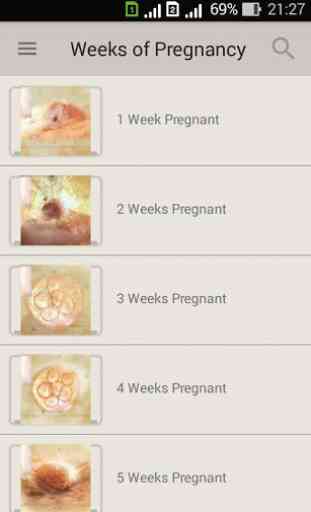 Pregnancy week by week. Expecting baby. Diary 2