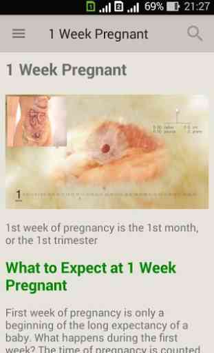 Pregnancy week by week. Expecting baby. Diary 3
