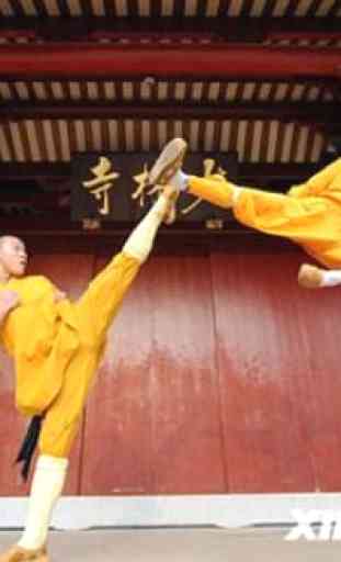 Best Chinese Martial Arts 1