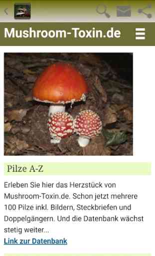 Die Welt der Pilze im Internet - Mushroom-Toxin.de 1