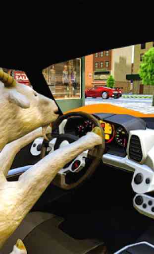 loco cabra coche conducción simulador 1