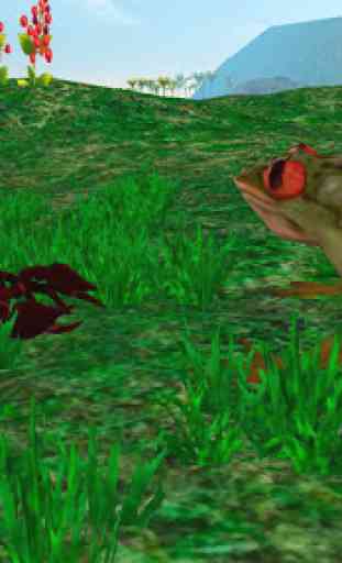 Rain Forest Frog Survival Sim 4