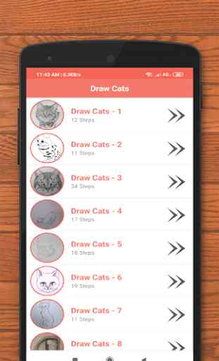 Cómo Dibujar Gatos 1