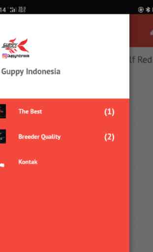 Guppy Indonesia 2