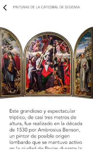Pinturas de la Catedral de Segovia 3