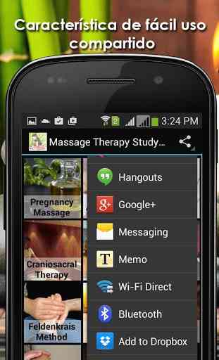 Terapia de masaje App Estudio 4