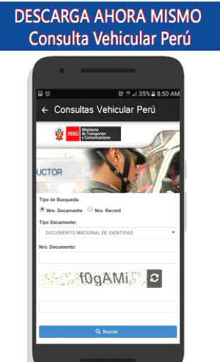 Consulta Vehicular Peru 2