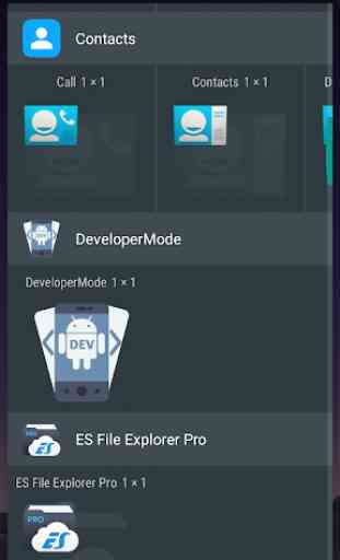 Developer Mode 4