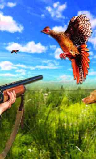 Faisán caza de aves:tiro de francotirador alas2018 1