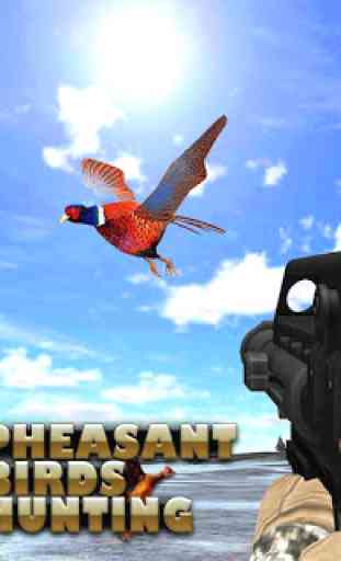 Faisán caza de aves:tiro de francotirador alas2018 2