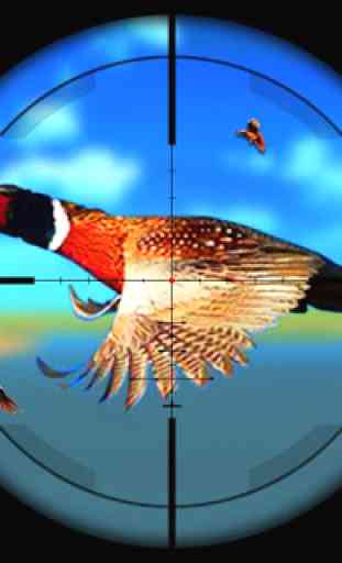Faisán caza de aves:tiro de francotirador alas2018 3
