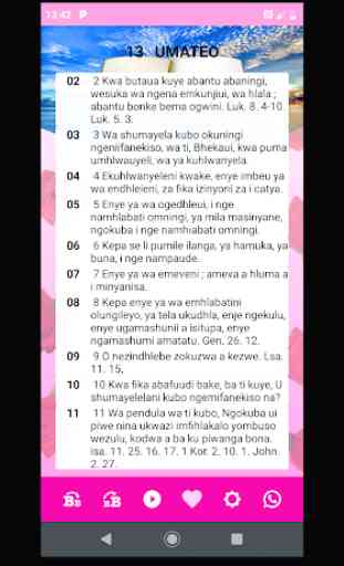 Holy Bible of Woman in Africa in Zulu IBhayibheli 4